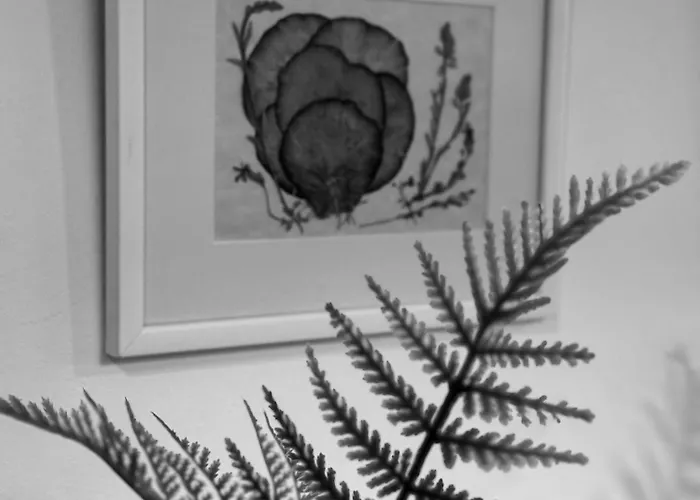 Διαμέρισμα Sunrise Den Where Mornings Shine Μπλεντ